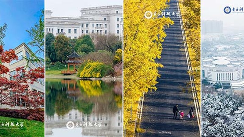 电子加工厂报价对比：揭秘价格背后的秘密**