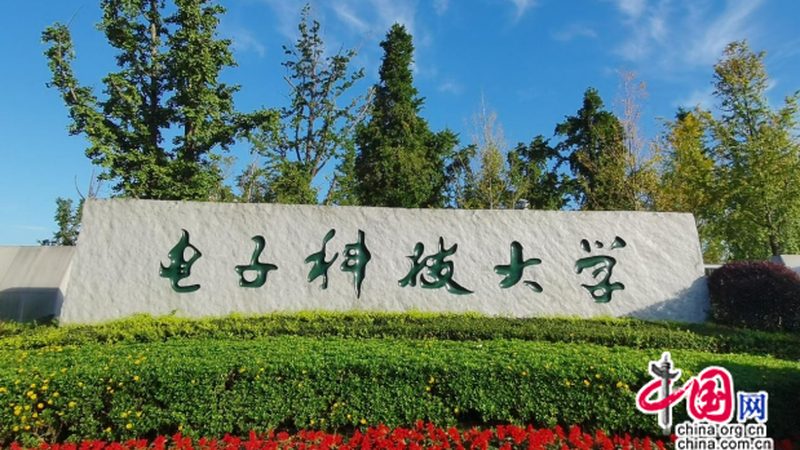中小企业电子科技定制开发：费用构成与优化策略